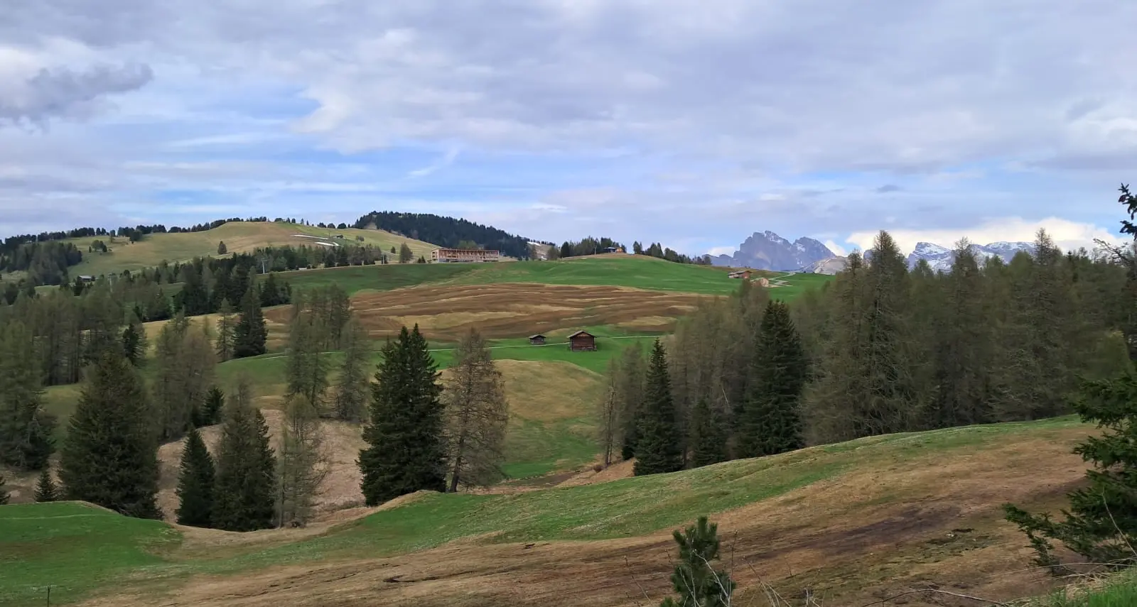 Liquami sui prati di montagna, ambientalisti contro la Provincia: «Biodiversità a rischio»