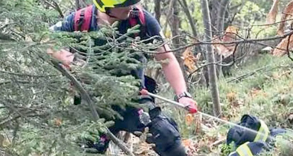 Virgolo, incendio nel bosco: danni limitati