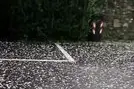 Impressionante grandinata a Varna e Bressanone