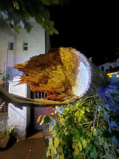Vento a Merano, crolla un tiglio in via Wolf: «Doveva essere abbattuto»