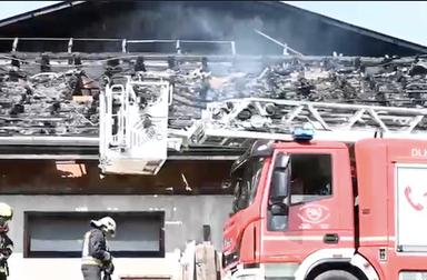 Salvate dalle fiamme 40 mucche: corsa contro il tempo al Thalerhof