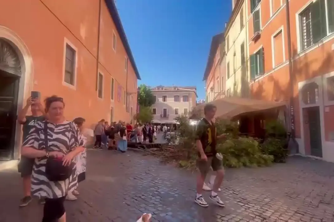 Roma, cade albero in piazza Sant'Egidio a Trastevere