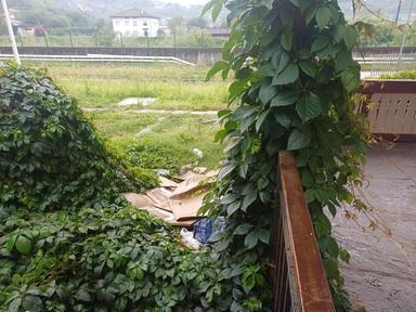 Bolzano, sgomberi a Ponte Adige e in via Macello: sei persone nell’immobile occupato
