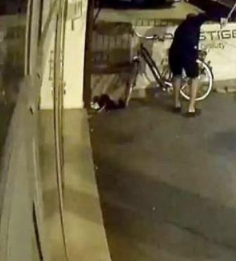 Bolzano, dorme nel negozio per difendersi dai ladri