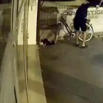 Bolzano, dorme nel negozio per difendersi dai ladri