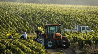 Allarme Coldiretti: rischio aumento costi per agricoltori con il Cbam senza salvaguardie