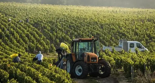 Allarme Coldiretti: rischio aumento costi per agricoltori con il Cbam senza salvaguardie