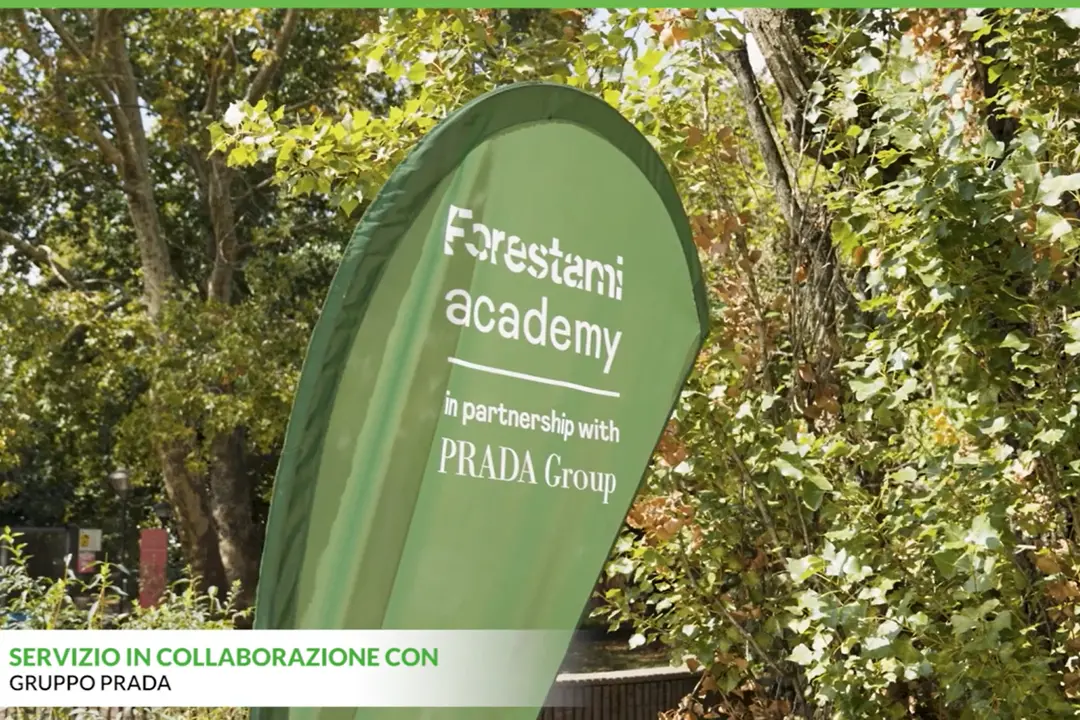 Forestami Academy lancia il progetto didattico \"Tra le chiome\"