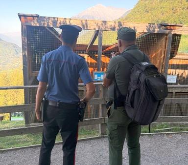 Carabinieri e Forestale nei centri per animali: strutture promosse a Tirolo