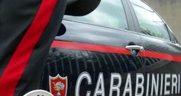 Coca e migranti lungo la rotta balcanica: smantellate tre organizzazioni dai carabinieri di Trento