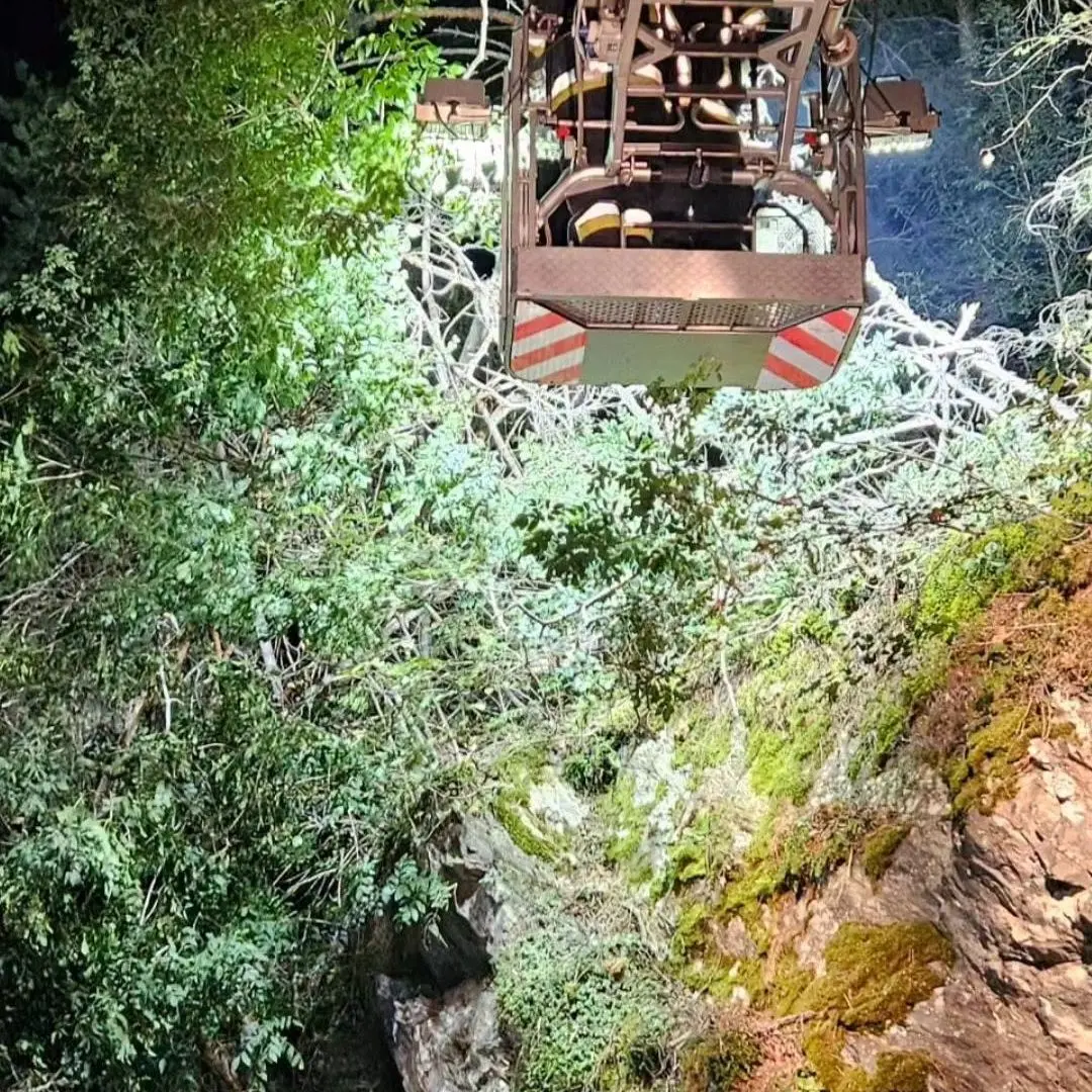 Bressanone, alberi e grossi rami cadono sulla strada per Luson: provinciale chiusa