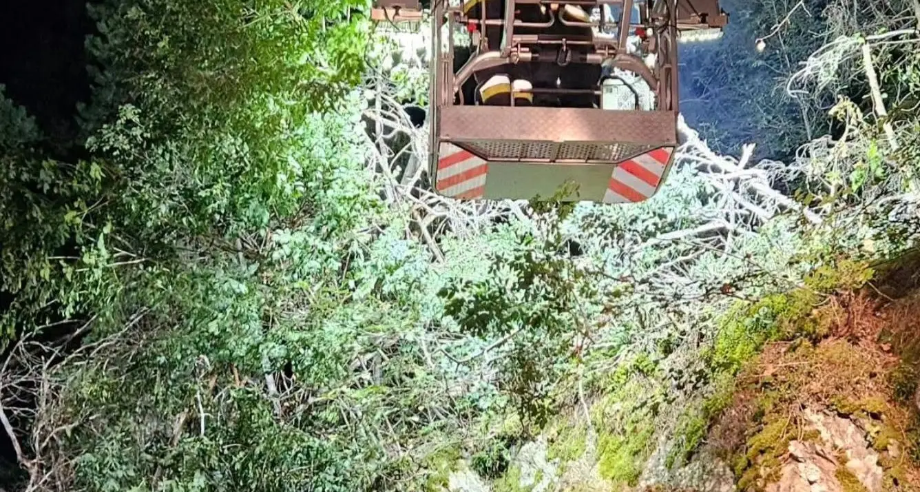 Bressanone, alberi e grossi rami cadono sulla strada per Luson: provinciale chiusa