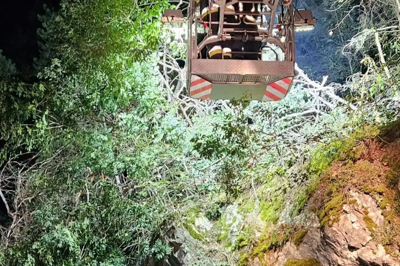 Bressanone, alberi e grossi rami cadono sulla strada per Luson: provinciale chiusa