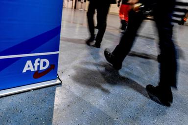 Bianchi attacca: «Grave la partecipazione Freiheitlichen al convegno AfD»
