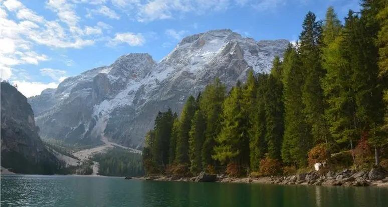 Coldiretti Trentino-Alto Adige: «Record per le vacanze in campagna»