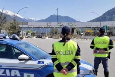 Sette setter morti durante il viaggio verso la Lapponia: LNDC presenta denuncia