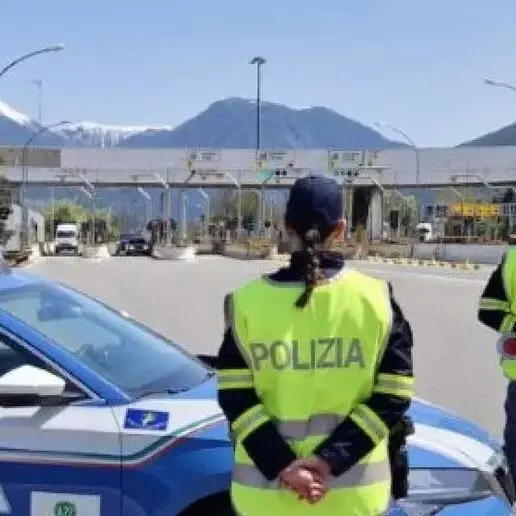 Sette setter morti durante il viaggio verso la Lapponia: LNDC presenta denuncia