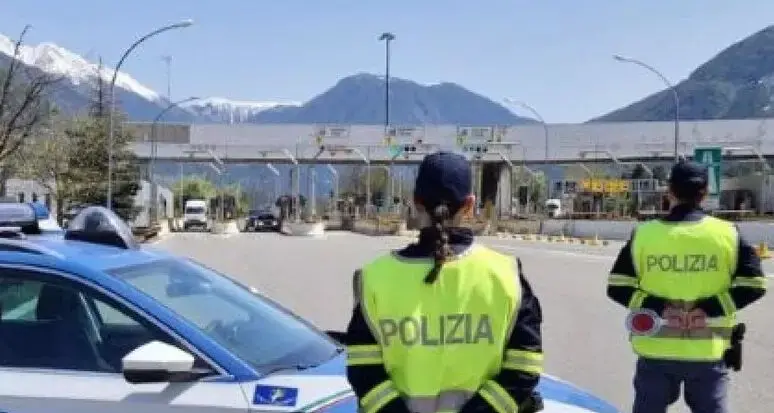 Sette setter morti durante il viaggio verso la Lapponia: LNDC presenta denuncia