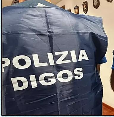 A 17 anni inneggiava al suprematismo: arrestato in Trentino, trovati armi e manuali per attentati