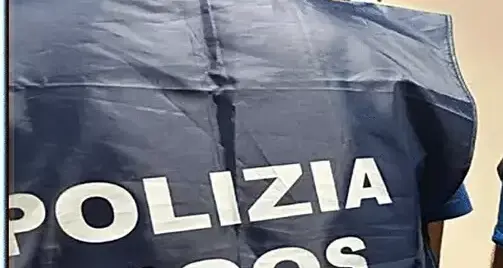 A 17 anni inneggiava al suprematismo: arrestato in Trentino, trovati armi e manuali per attentati