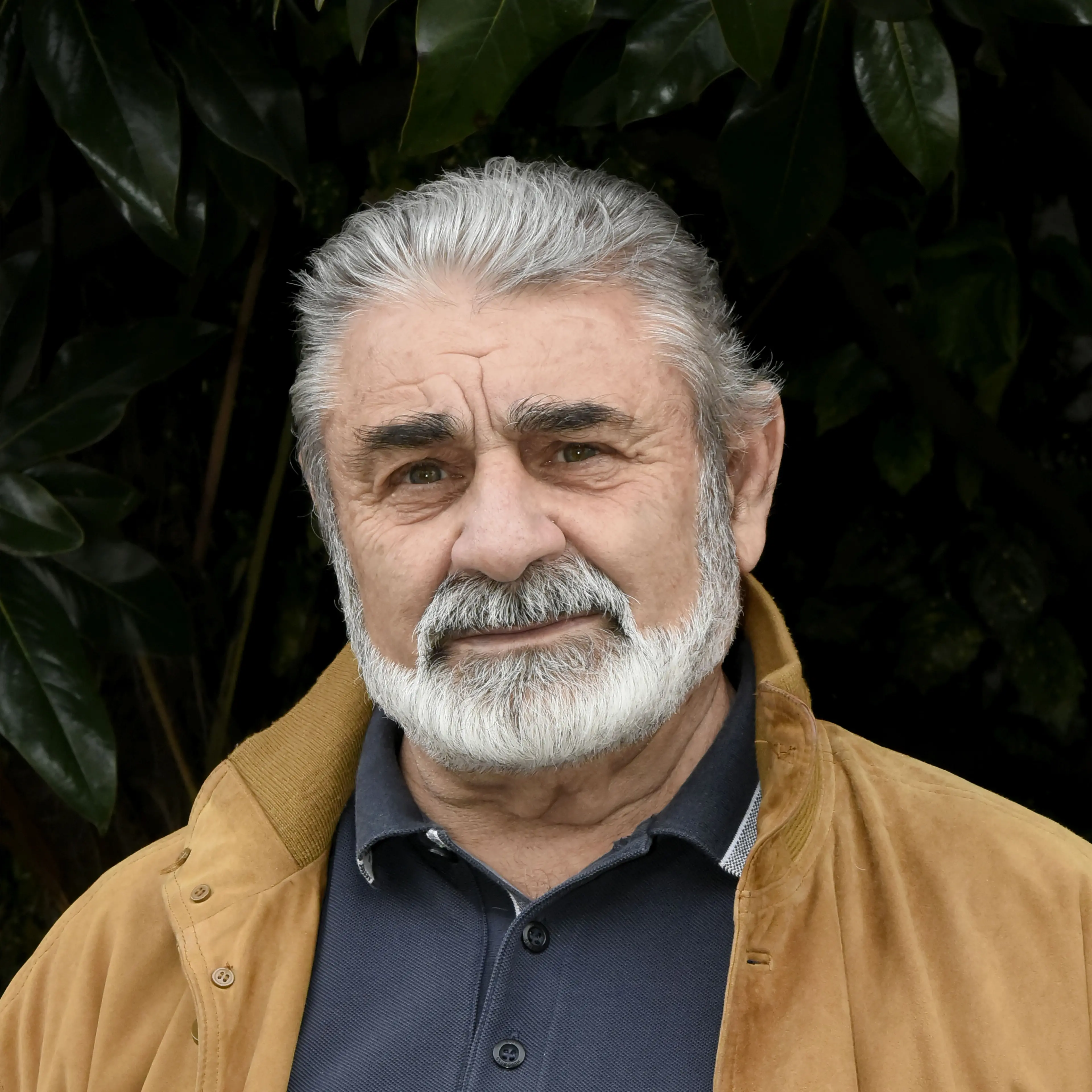 Domenico Gallo