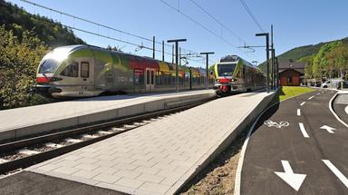 Animale selvatico travolto da un treno: cancellazioni e ritardi in Val Pusteria