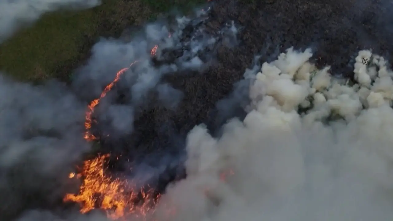 Brasile, in fumo l'ennesima porzione di foresta amazzonica