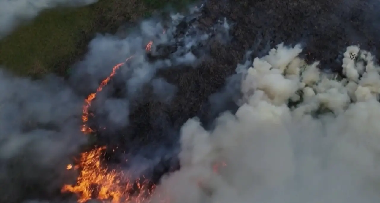 Brasile, in fumo l'ennesima porzione di foresta amazzonica