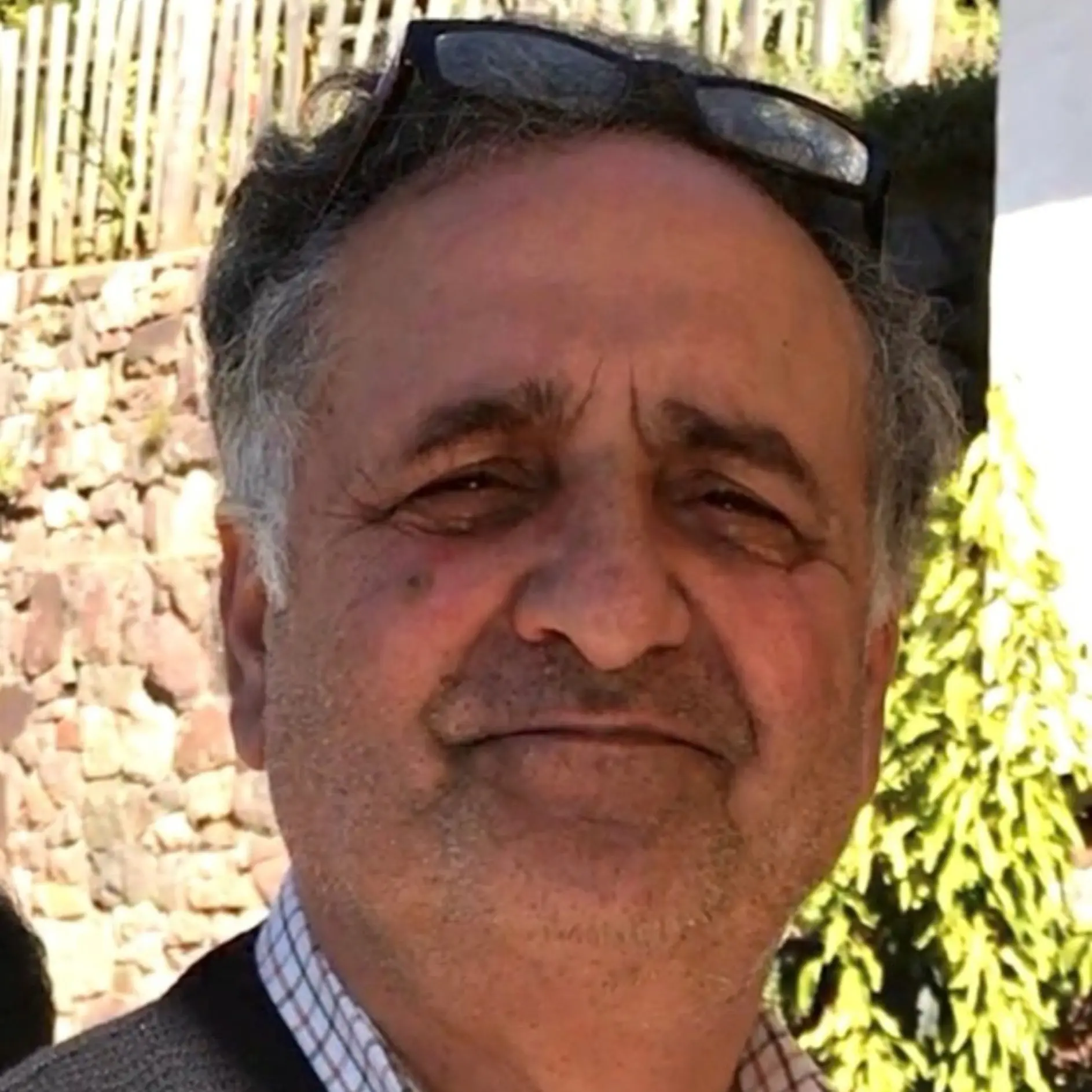 Francesco Pollet