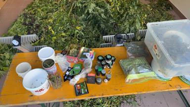 Val Passiria, serra di cannabis in casa: un arresto