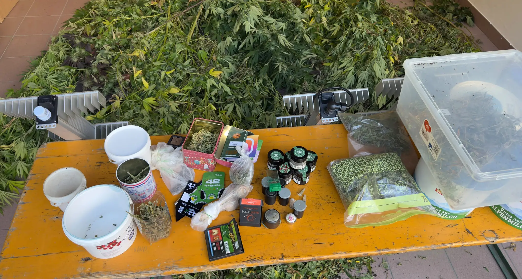 Val Passiria, serra di cannabis in casa: un arresto