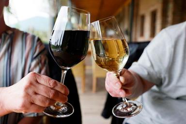 Merano WineFestival: 35ª edizione al Kurhaus e futuro con l'Osservatorio del vino