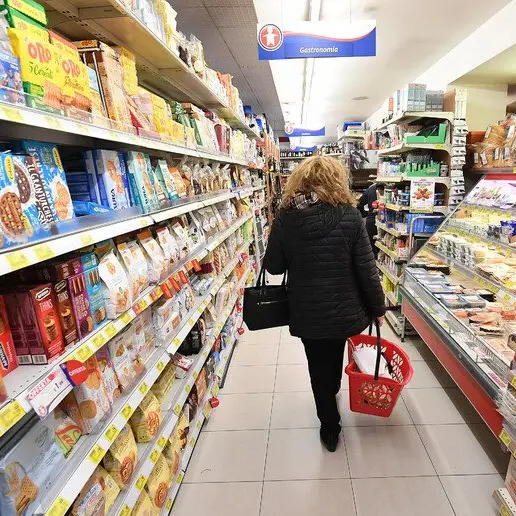 Bolzano, spesa delle famiglie giù di 358 euro al mese: ma resta tra le più alte d'Italia