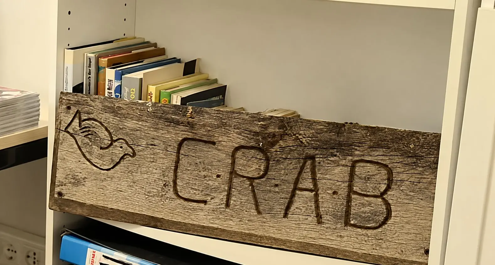 Oltre 350 animali curati ogni anno, il CRAB cerca fondi per una nuova sede