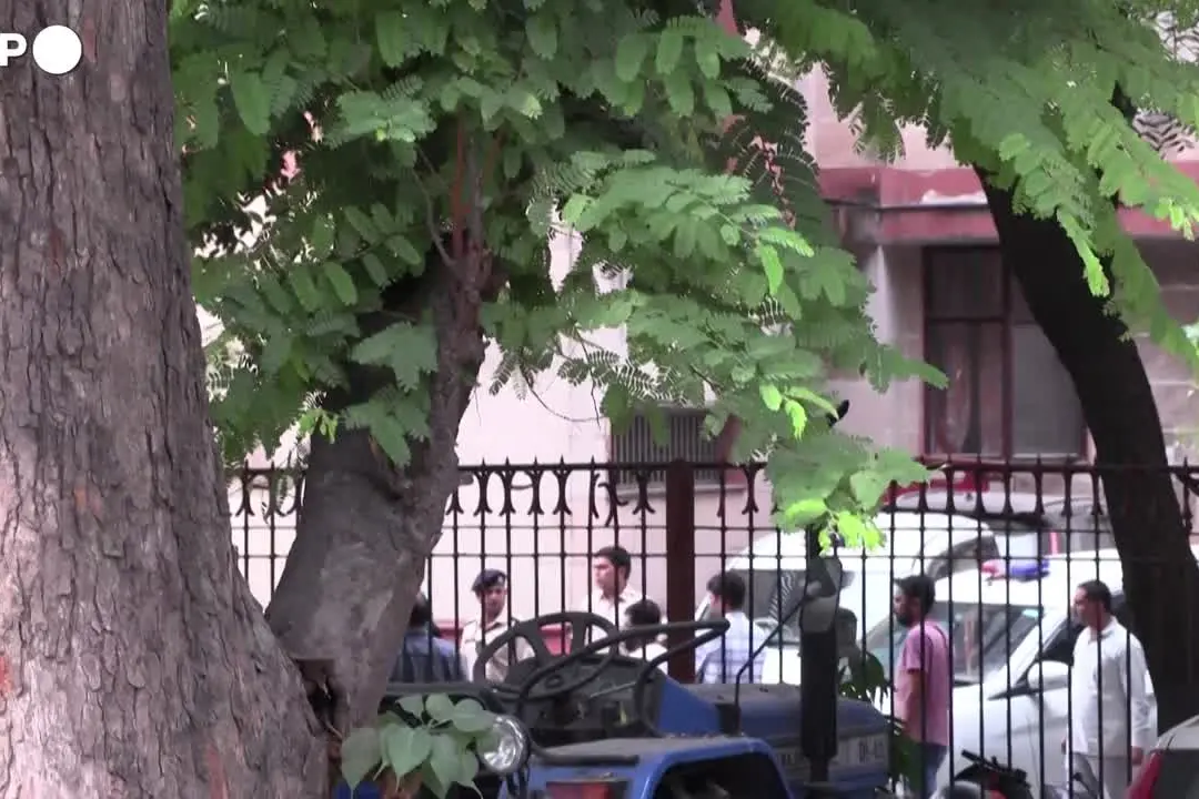 Rilasciati in India i leader del \"partito delle blatte\"
