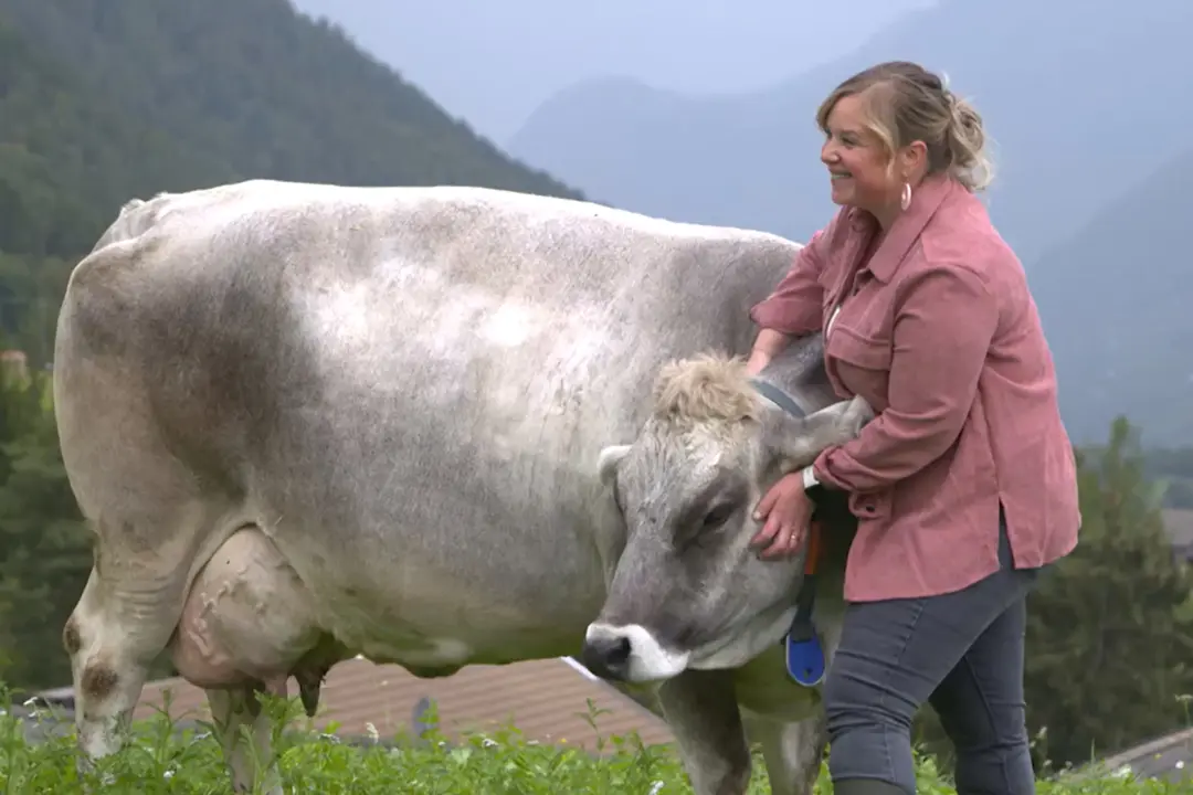Filiera del latte, il ruolo strategico delle donne in Alto Adige