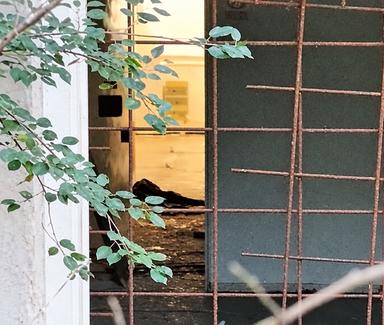 Ex Enel, bivacco tra liti e aggressioni: arriva la polizia