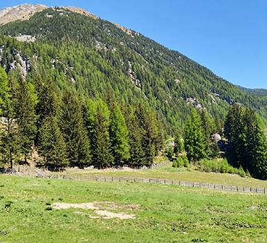 Hotel nel Parco naturale: c'è il ricorso al Tar