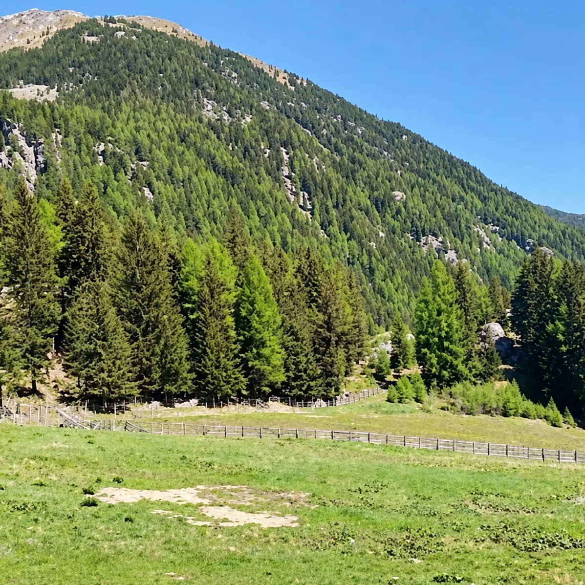 Hotel nel Parco naturale: c'è il ricorso al Tar
