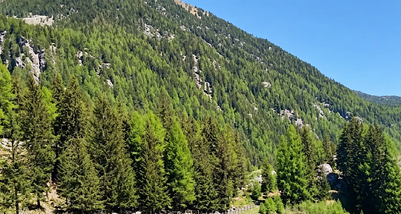 Hotel nel Parco naturale: c'è il ricorso al Tar