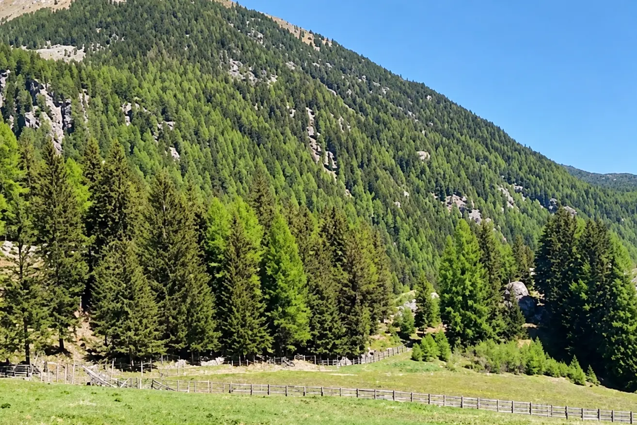 Hotel nel Parco naturale: c'è il ricorso al Tar