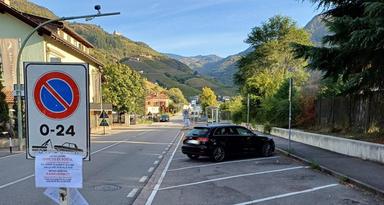 Bolzano, via Sarentino diventa più verde: arrivano 22 nuovi alberi