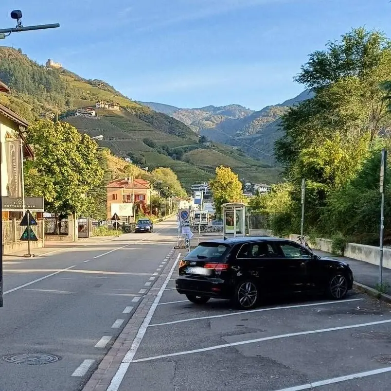 Bolzano, via Sarentino diventa più verde: arrivano 22 nuovi alberi