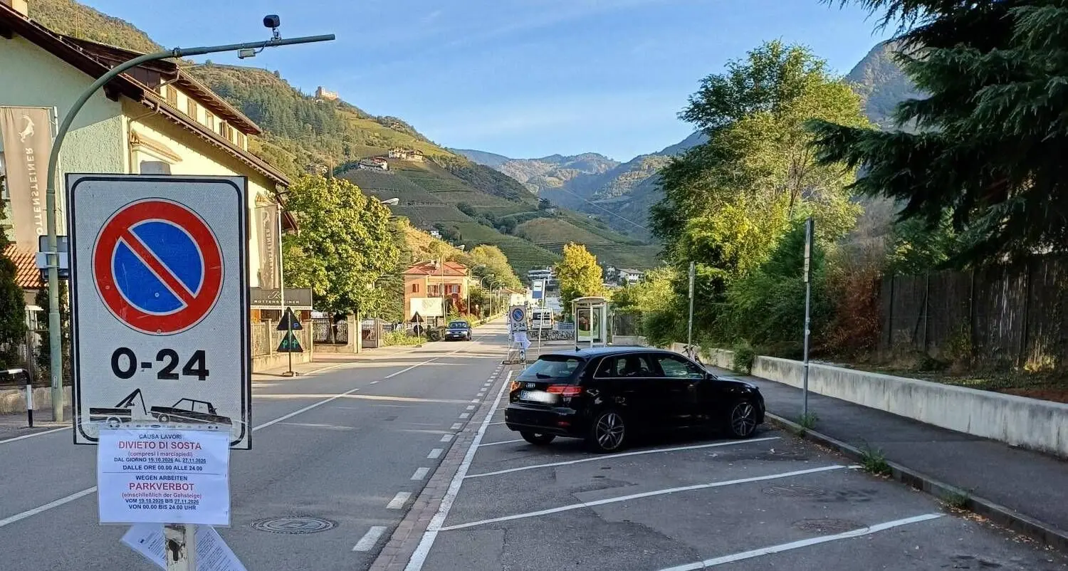 Bolzano, via Sarentino diventa più verde: arrivano 22 nuovi alberi