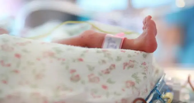 Culle piene in Alto Adige: 1,54 figli per donna, record italiano