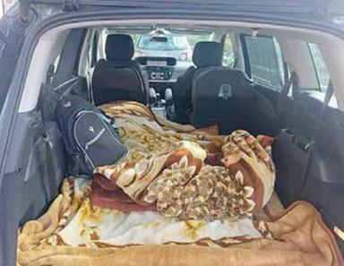 Vent’anni di lavoro a Bolzano. Senza casa, dormono in auto