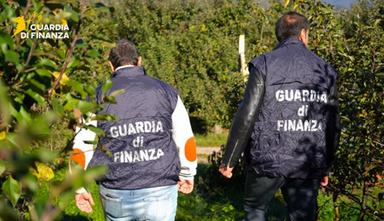 Oltre 100 lavoratori sfruttati in Val di Non: pagamenti fino a 12mila euro per arrivare in Italia