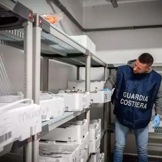 Pesce irregolare, maxi controlli anche a Bolzano: multe per 20mila euro