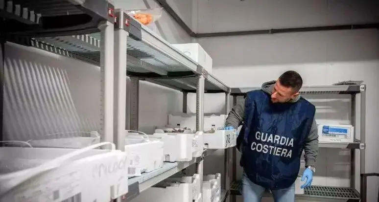 Pesce irregolare, maxi controlli anche a Bolzano: multe per 20mila euro