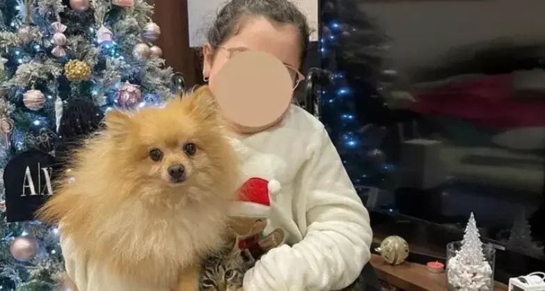 «Rubiamo, ma siamo onesti»: i ladri restituiscono il cane alla bimba disabile